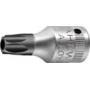 Schraubendrehereinsatz TORX Gruppe